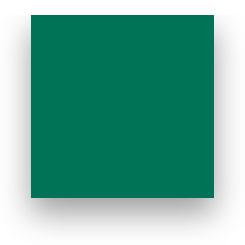 Fond Papier Colorama #37: Spruce Green