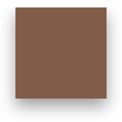 Fond Papier Colorama #80: Peat Brown