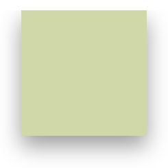 Fond Papier Colorama #12: Fern
